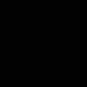 Meet your Posher, Amelia